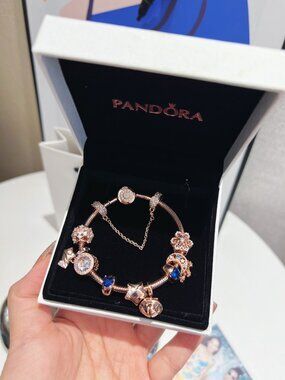 Pandora Rose Gold Complete Charm Bracelet Set